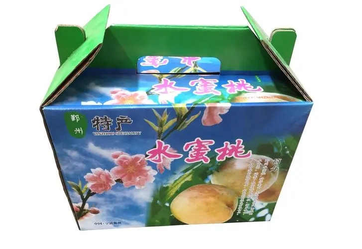 西安紙(zhǐ)箱案例(lì)展示(shì)